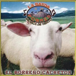 Album cover of El Borrego Cacheton