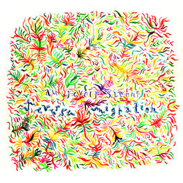 Album cover of Reverse Migration
