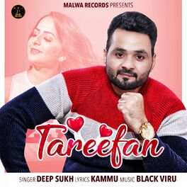 Album cover of Tareefan