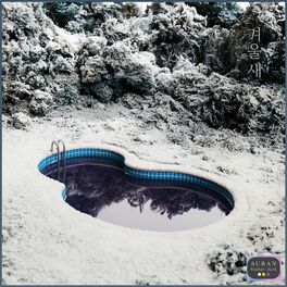 Album cover of Winter Bird