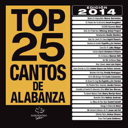 Album cover of Top 25 Cantos De Alabanza (Edición 2014)