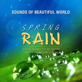 Album cover of Spring Rain (Nature Sounds for Relaxation, Meditation, Healing & Sleep)