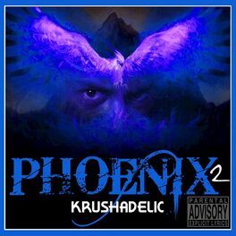 Album cover of Phoenix 2