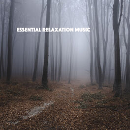 Album cover of Essential Relaxation Music