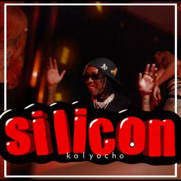 Album cover of Silicon