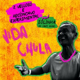 Album cover of Vida Chula