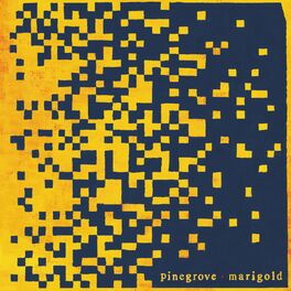 Album cover of Marigold