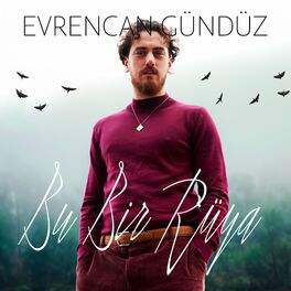 Album cover of Bu Bir Rüya