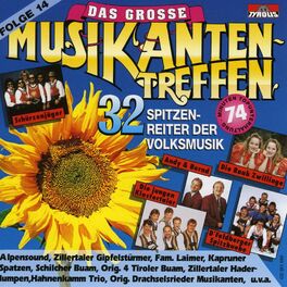 Album cover of Das große Musikantentreffen Folge 14