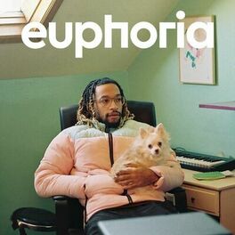 Album cover of euphoria