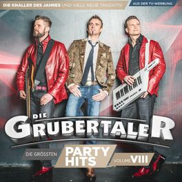 Album cover of Die größten Partyhits - VOL. VIII