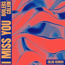 Album cover of I Miss You (BLRS Remix)