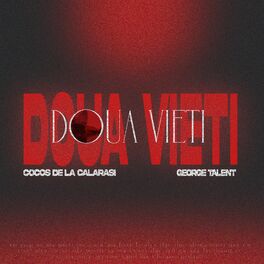 Album cover of Două Vieți