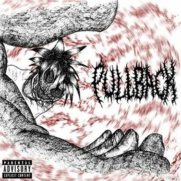 Album cover of PULLBACK