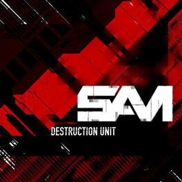 Album cover of Destruction Unit