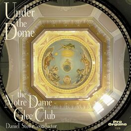 Album cover of Under the Dome