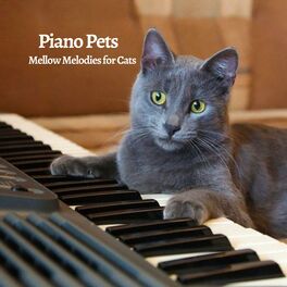 Album cover of Piano Pets: Mellow Melodies for Cats