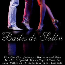 Album cover of Bailes de Salón