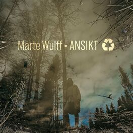 Album picture of Ansikt ♻