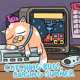 Album cover of Catching Bugs, Chasing Summer