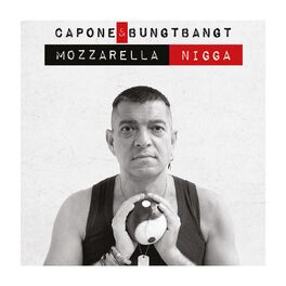 Album cover of Mozzarella Nigga