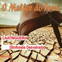 Album cover of O Melhor do Forró - Vol. 2