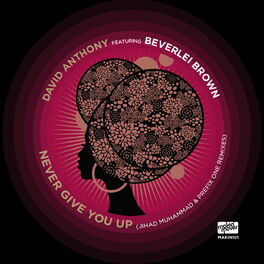 Album cover of Never Give You Up (Remixes) [feat. Beverlei Brown]