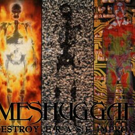 Album cover of Destroy Erase Improve (Reloaded)