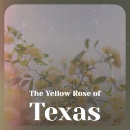 Album cover of The Yellow Rose of Texas