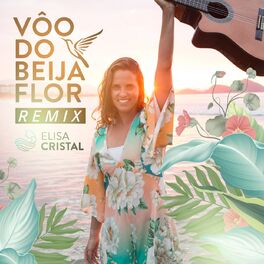 Album cover of Vôo do Beija Flor (Remix)