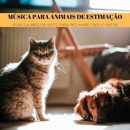 Album cover of Música Para Animais De Estimação: Sons Calmos Da Noite Para Relaxar Cães E Gatos