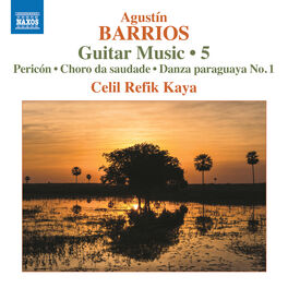 Album cover of Barrios Mangoré: Guitar Music, Vol. 5