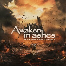 Album cover of Awaken in Ashes