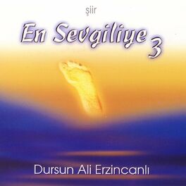 Album cover of En Sevgiliye 3