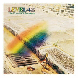 Album cover of The Pursuit Of Accidents