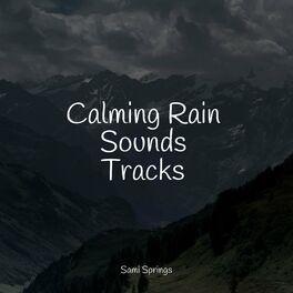 Album cover of 50 Gentle Rain and Nature Sounds