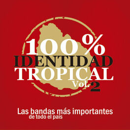 Album cover of 100% Identidad Tropical, Vol. 2