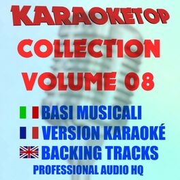 Album cover of Karaoketop Collection, Vol. 08