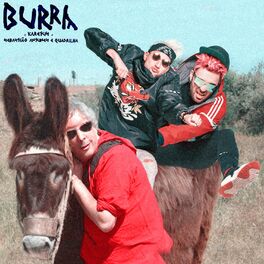 Album cover of Burra