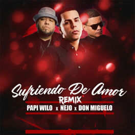 Album cover of Sufriendo de Amor (Remix)