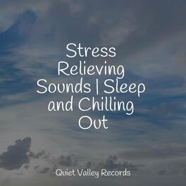 Album cover of Stress Relieving Sounds | Sleep and Chilling Out