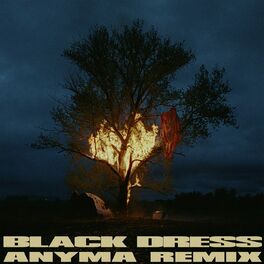 Album cover of Black Dress (Anyma Remix)