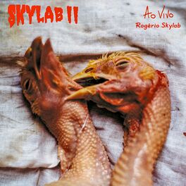 Album cover of Skylab II (Ao Vivo)