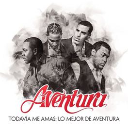 Album cover of Todavía Me Amas: Lo Mejor de Aventura
