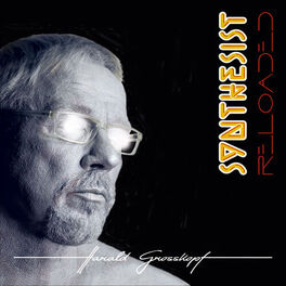 Album cover of Synthesist Reloaded