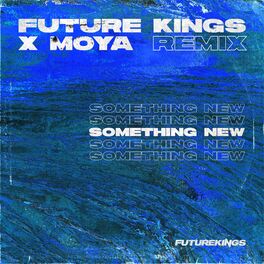 Album cover of Something New (Future Kings Remix)