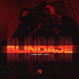 Album cover of Blindaje