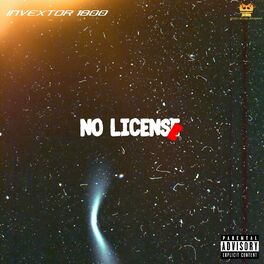Album cover of No License (feat. Promoting sounds)