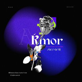 Album cover of ARMOR (feat. xInG, Xixi, Nillk_Ag & Olddoggie)