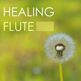 Album cover of Healing Flute - Chakras and Reiki Meditation Music for Sound Therapy and Relaxation